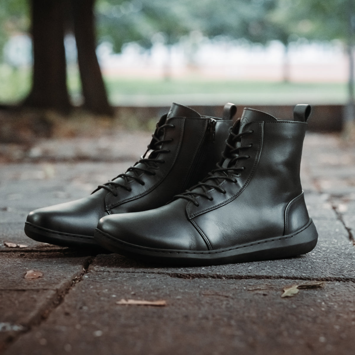 Astra Black