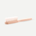 Cleaning brush